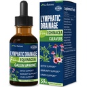 קלאס Lymphatic Drainage טיפות עבור Lymph System Detox ניקויse, Lymphedema תמיכה תוספת פורמולה w / Echinacea, Claw של Cat, Red Clover לחלץ Tincture, להשתמש עם Lymph עיסוי Tool. 2oz