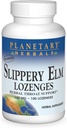 צמחים פלנטריים Slippery Elm Lozenges, Herbal גרון תמיכה, 100 Lozenge