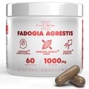Fadogia Agrestis 1000 מ"ג תוספת שירות - תמצית פוטנט כדי להגדיל את האנרגיה, ביצועים אתלטיים ומעבורת שרירים - תוספי מזון, המיוצר בארה"ב (60 קפסולות)