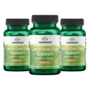 Swanson Lactobacillus Gasseri Probiotic for Adults Seeking Digestive and Metabolic Support with 3 מיליארד CFU - Acid-Resistant, No Refrigeration (60 קפסולות טבעוניות, 3 Pack)