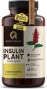 Premium Quality Costus Igneus (Insulin Plant) קפסולות - קלות ל-Swallow 240 קפסולות Veggie (2 חודשים אספקה) - Made in the USA - כולל תוכנית תמיכה מלאה לבריאות