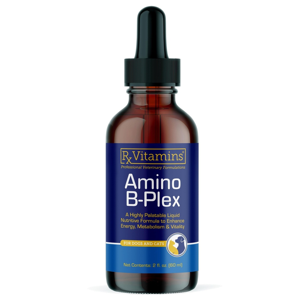Rx ויטמינים Amino B Plex Cat & הכלב תוסף - ויטמין B מורכב נוזל פלוס Amino Acids עבור כלבים וחתולים - Appetite Booster ו Weight Gainer Cat & כלבים ויטמינים - 2 oz