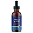 Rx ויטמינים Amino B Plex Cat & הכלב תוסף - ויטמין B מורכב נוזל פלוס Amino Acids עבור כלבים וחתולים - Appetite Booster ו Weight Gainer Cat & כלבים ויטמינים - 2 oz