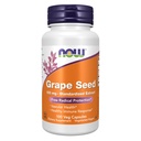 עכשיו תוספי מזון, Grape Seed 100 מ"ג - תמצית סטנדרטית, תמצית גבוהה עם מינימום של 90% פוליפנולים, עם ויטמין C, 100 Veg קפסולות