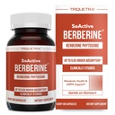 SoActive Berberine 550 מ"ג: 9.6X גבוה יותר Absorption, קלינית למד, אופטימיזציה Phytosome | תמיכה Metabolism & AMPK Activation