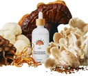 Rainbo - 11:11 Multi Mushroom Tincture - 11-in-1 כפול לחלץ Mushroom Band - תמיכה מקיפה Immune, Brain Support, Liquid Lion's Mane & תורכיה Tail, טבעוני, non GMO, 3.4 fl oz oz oz oz oz oz oz oz oz oz oz oz oz oz oz oz oz oz oz oz oz oz oz oz oz oz oz oz oz oz oz oz oz oz oz oz oz oz oz oz