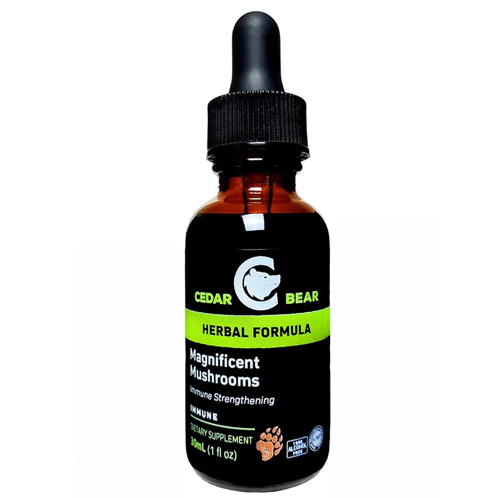 Cedar Bear Magnificent Mushrooms a Liquid Herbal תוסף אשר בונה את מערכת החיסון, מגן, חיזוקים ו Balances Total Health 1 Fl Oz