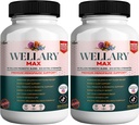 Wellary Max Menopause תוסף תמיכה, 40 מיליארד CFU Probiotic, 90 קפסולות (2)