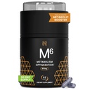 High Performance Nutrition Metabolism Booster, HPN M(6) Fat Burner, תוסף אובדן משקל טבעי, תמיכה שרירי Lean, להגדיל את האנרגיה, איכות הסביבה, קלינית נבדק, 60 קפסולות