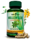 KIKI גרין מולליין Leaf Extracts - טבעוני צמח תוספת - עבור Lung ניקויse, תמיכה, Better Respiratory, Immune Function - 1000mg 45 משרתs - 90 Count Count