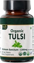 Tulsi 120 טבליות - USDA קדוש בזיל - תומך להקלה מתח והסתגלוגניזון.