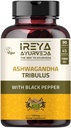 Ashwagandha כמוסות אורגני 1000 מ"ג (90 קפסולות) נוצר עם Tribulus Terrestris, Shatavari ו Black Pepper אורגני Ingredients.