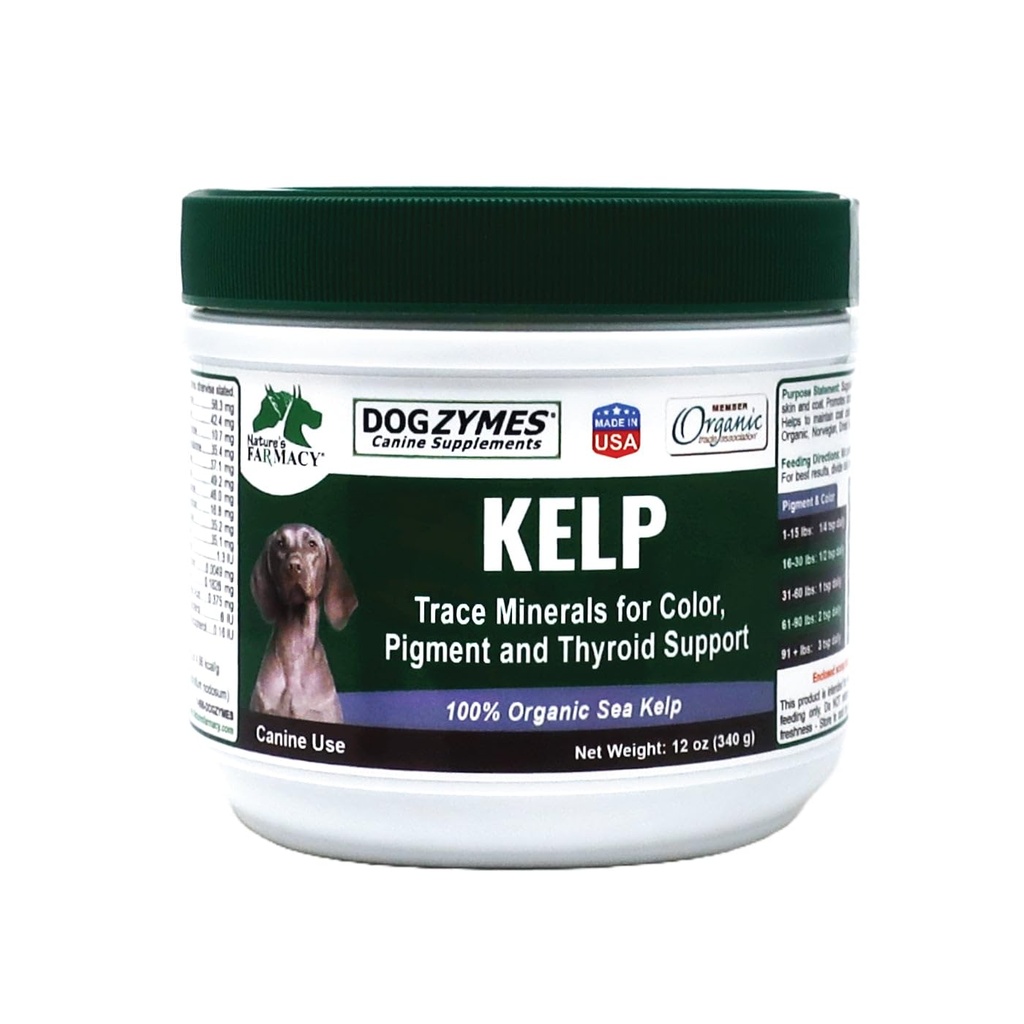 כלבzymes אורגני נורוויג'ן Kelp עבור חיות מחמד, מקור תזונה רב ב Iodine כדי לתמוך בתפקוד Gland, במיוחד Thyroid (12 Ounce)