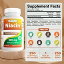 Best Naturals Niacin 500 מ"ג 250 טבליות עם Flushing - נקרא גם ויטמין B3 (250 Count (Pack of 2))
