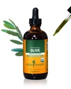 Herb Pharm מוסמך אורגני אוליב מסך לחלץ תמיכה במערכת החיסון, 4 Fl Oz
