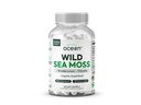 אורגנים Ocean Wild Sea Moss כמוסות - 100% מים איריים אורגניים Mosss עם אורגני Chlorella, Bladderwrack ויטמין D עבור אנרגיה, Lung Health ותמיכה Thyroid לנשים וגברים - 60 קפסולות