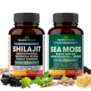Shilajit Sea Mos Ashwagandha Combo Bundle - שחור Seed שמן, Turmeric, Rhodiola Rosea, Panax, Geneseng תוספי | 120 קפסולות, Better Than Gummies, Resin | Seamos עבור גברים ונשים