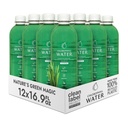Chlorophyll Water - נוזל Chlorophyll 12-Pack (16.9oz) | ויטמין A, B12, C, D | Detox ניקויse, Alkaline Water, Energy Boost | ויטמין Water | מבוסס על צמחים | פרויקט נקי