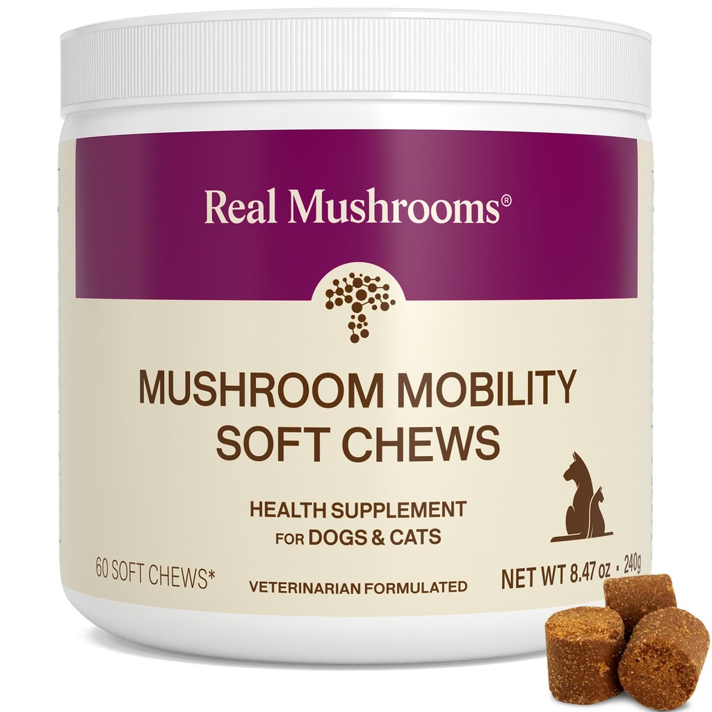 Real Mushrooms Mobility Chews for Dogs & Cats - Green Lipped Mussel & ErgoGold Mushroom - כלבים וחתול ויטמינים טיפול עבור Active Routines - תמיכה משותפת, היפ & גמישות - 240 ct תוסף