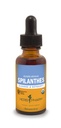 Herb Pharm מוסמך אורגני Spilanthes נוזל לחלץ ניקוי ו Detoxification - 1 Ounce