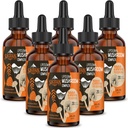 Liposomal Mushroom Complex Drops 2000 MG - 20 מוצרי Mushroom אורגניים - פורמולה נוזלית מתקדמת עבור חסינות, קוגניטיבית וזיכרון - Lions Mane Supplement, Reishi, Cordyceps, Chaga, 180 משרתים