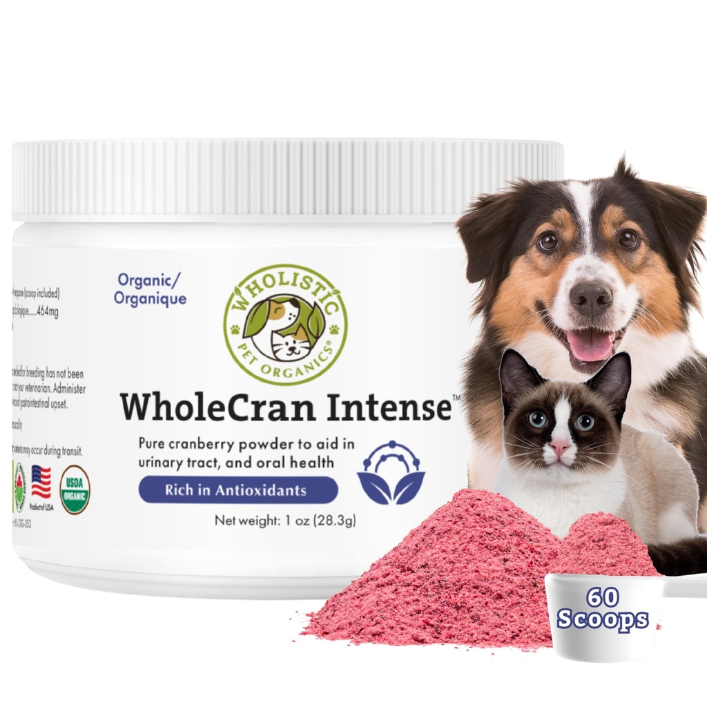 Wholistic Pet Organics WholeCran Intense: אבקת קריין אורגני לכלבים Urinary Tract תומך Kidney תמיכה לכלבים UTI טיפול ויטמין C ו- Antioxidants Dog Incontinence Product