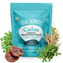 Four Sigmatic Calm Mushroom