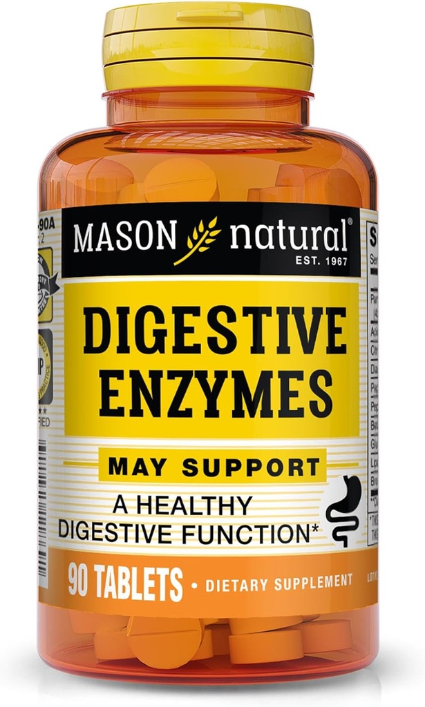 MASON NATURAL Digestive Enzymes with Prebiotics & Probiotics, תומך בבריאות העיכול ו- Gut Balance, 90 טבליות