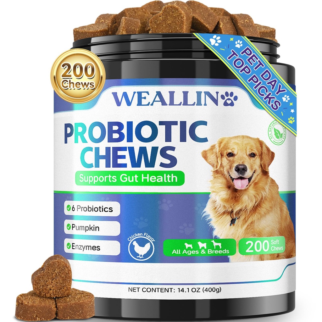 200 PCS Probiotics for Dogs - כלב פרוביוטיקה צ'יפס עבור Gut Health, תמיכה עיכול & Itchy Skin Relief Pet Diarrhea Gas Treatment - Probiotics, Enzys, Prebiotics, Pumpkins, Pumpkinkins