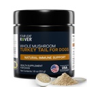 טורקיה Tail Mushroom for Dogs - Whole, Organic Mushroom - מעל 50% Beta-Glucan - צד שלישי נבדק, מיוצר בארה"ב - No Grains No Fillers - 60 יום גדול אספקת כלבים
