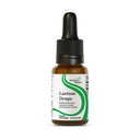 מחפש בריאות Lactase Drops - תוספת נוזלית עם Lactase Enzyme עבור תמיכה בסובלנות חלב - תמיכה בסובלנות עבור Digest - Lactase Enzyme תוסף - 0.50 Fl oz, 52 משרתים