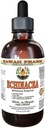 Echinacea אלכוהול חינם לחלץ, אורגני Echinacea (Echinacea Purpurea) Dried Herb Glycerite הוואי Pharm טבעי צמחיה 4 oz