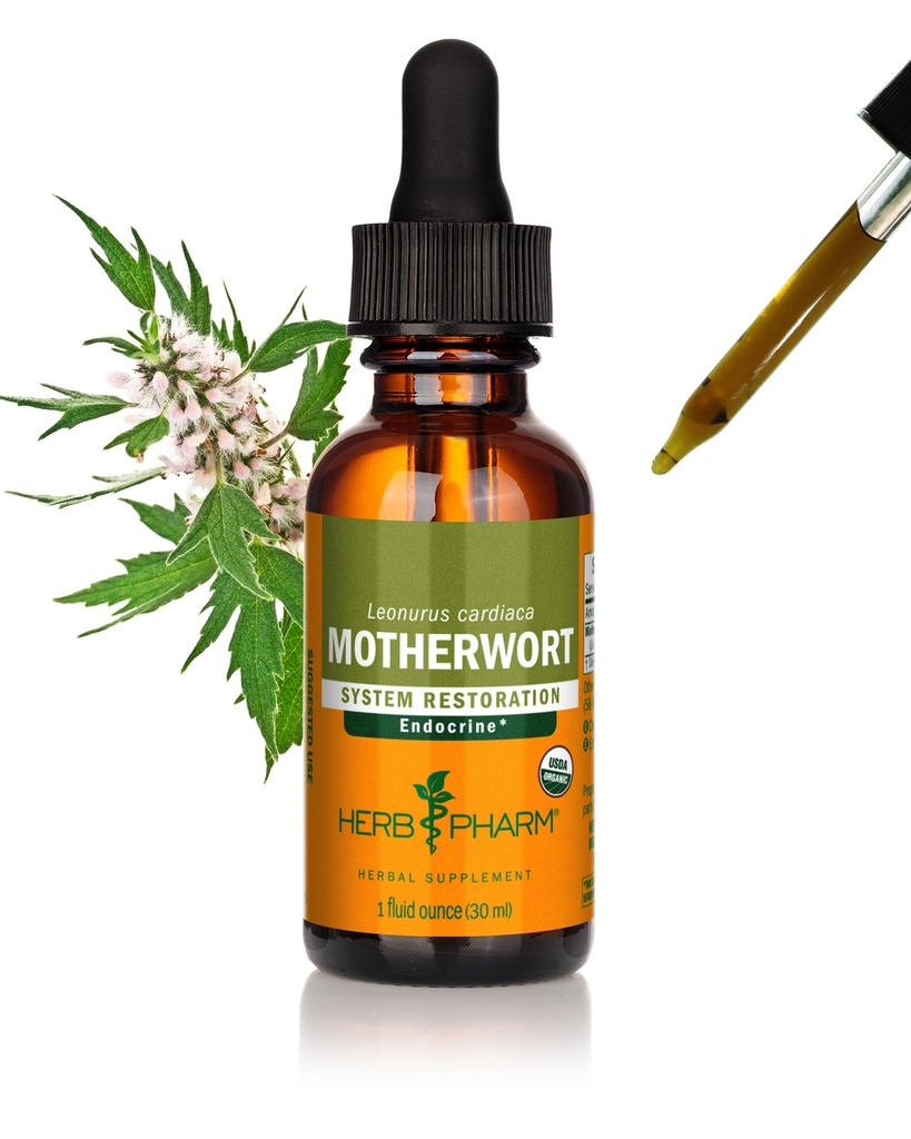 Herb Pharm מוסמך אורגני Motherwort לחלץ תמיכה מערכת אנדוקרינה - 1 Ounce