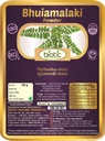 ויונה ביוטית Bhumi Amla אבקת (Phyllanthus נירורי) Bhoomi Amla אבקה - Bhuiamlaki אבקה - 100gmus נירורי