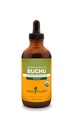 Herb Pharm מוסמך אורגני Buchu לחלץ תמיכה מערכת שתן - 4 Ounce