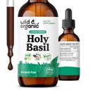 Wild & Organic Holy Bala Tincture - מרגיעה, Calmness, Mood Support - Tulsi Holyזיל תוספת - טבעוני, סוכר ואלכוהול חינם Herb לחלץ טיפות - 2 fl oz