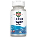 KAL Lactase Enzyme 250 מ"ג, תמיכה בריאה של Lactose Intolerance, נוזלי-Filled ActivGels Made Without Soy, 250 יחידות FCC, 30 משרתים, 60 SoftGels