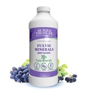 אוצר קבור Fulvic מינרלים Grape Flavored - מינרלים קולואידים מ Acid Humic Fulvic, אלקטרוליטים מ- Trace מינרלים עבור התאוששות ותמיכה בריאות. תוספת למים - 32 משרתים