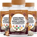 Lions Mane Mushroom תוספת עם טורקיה Tail Reishi Cordyceps Chaga עם Marshmallow Root - 180 הרוזן