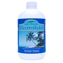Eidon Electrolytes - נוזל אלקטרוליט טיפות, Ionic מינרלים תוספת להוסיף מים, Replenish & Balance The Electrolyte Equilibrium, תמיכה בשיקום, סוכר לא ממותק חינם 18 oz