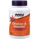 Now Choline and Inositol 500 מ"ג, 100 קפסולות (Pack of 2)