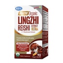 LABO Nutrition bioactive אורגני Lingzhi Reishi Ultra 7 Mushroom לחלץ תוספי Reishi Cordyceps Maitake טורקיה Tail Agaricus blazei Murill Shiitake עבור תמיכה Immune, Vitality, USDA אורגני