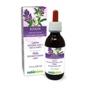 Naturalma alphalfa או Lucerne (Medicago Sativa) צמח עם פרחים ללא אלכוהול טינקטורה חינם - עשיר Chlorophyll טבעי - 4 oz נוזל לחלץ טיפות - Herbal תוסף - טבעוני