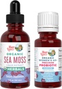 MaryRuth Organics Probiotic Digestion (Raspberry) עבור נשים 40+ & Sea Moss Drops | USDA אורגני, פרויקט תווית נקייה מאומת ® | ויטמינים לבריאות לקויות | טבעוני, Non-GMO, Gluten Freeten Freeten Freeten Freeten Freeten Freeten