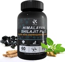 שילאג'יט ההימלאיה 60% Fulvic Acid, 120 קפסולות טבעוניות אספקה עם שילאג'יט טבעי טהור, Ashwagandha, Geneseng Extract - High in Trace מינרלים for Men Energy Support