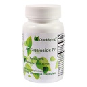 Scaging-Super-Absorption Astragaloside IV 98% 50 מ"ג 30 קפסולה נגד תאי דנ"א Telomere Astragalus Roots
