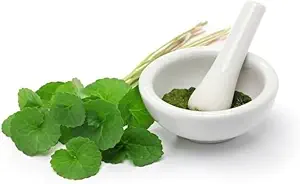(Pack of 2) אבקת Centella Asiatica (50g)