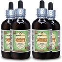 Carline Thistle (Carlina acaulis) Glycerite, Dried Roots אלכוהול-Free Liquid Extract (שםBrand: HerbalTerra, Proly Made in USA) 4x4 fl.oz (4x120 מ"ל)