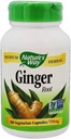 Nature's Way Premium Herbal ג'ינג שורש, תמיכה תזונתית, 550 מ"ג, 100 קפסולות צמחוניות, Pack of 2