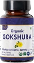 Gokshura 120 טבליות | Tribulus Terrestris (Gokshura) | USDA אורגני מוסמך תומך אי-אמון וכוח | אורגני וטבע 120tab